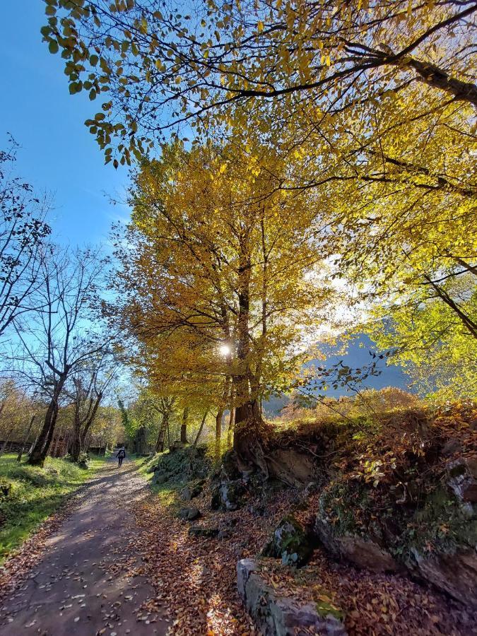 Villaggio Turistico Il Lago Dorato Carlazzo Exteriér fotografie