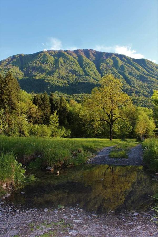 Villaggio Turistico Il Lago Dorato Carlazzo Exteriér fotografie